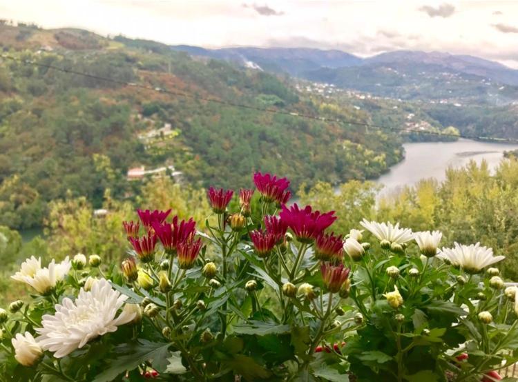 Pedacinho De Mundo Douro ξενώνας Passinhos de Cima Εξωτερικό φωτογραφία